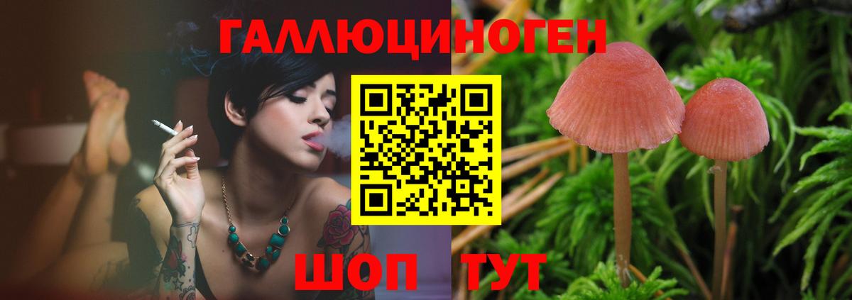 Галлюциногенные грибы мухоморы Тверь