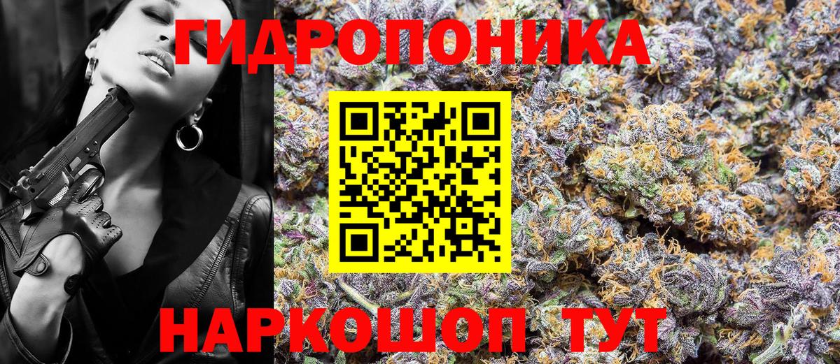 МАРИХУАНА планчик  Канабис Bruce Banner  Тверь  Бошки марихуана план  Вход с VPN  Конопля THC 21% 